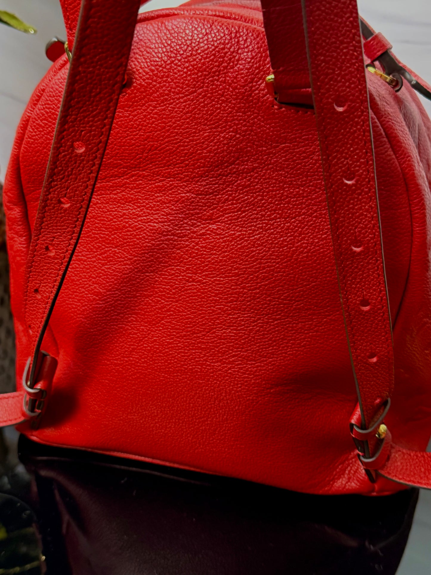 Authentic Louis Vuitton Cerise Monogram Empreinte Sorbonne Backpack
