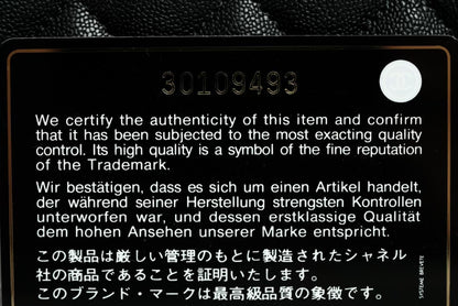 Authentic 20A Chanel Boy Small O Case w/ LGHW